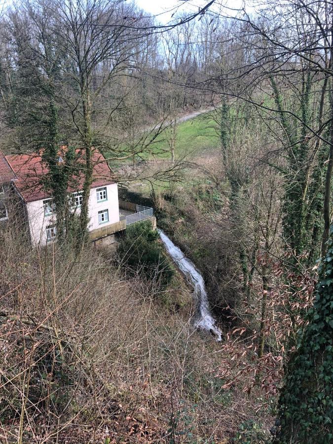 Ferienwohnung Waldruhe Hessisch Oldendorf Exterior foto